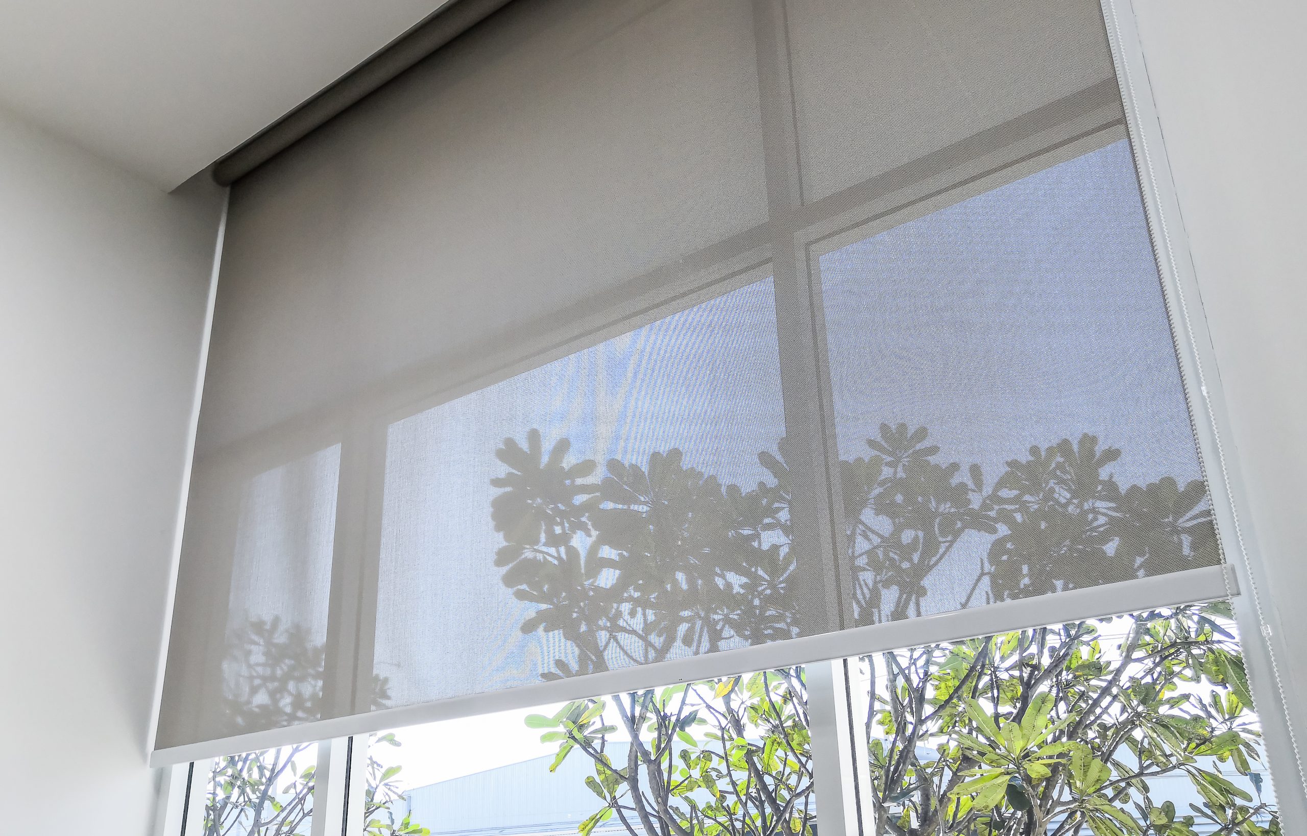 sheer sunscreen blinds