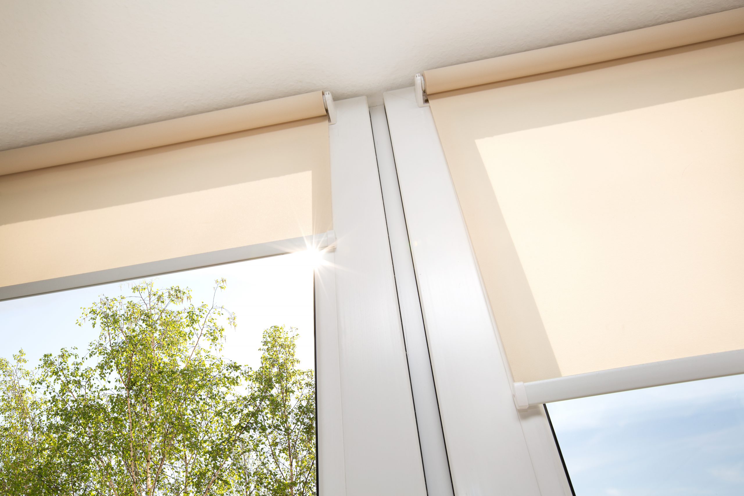 Light Filter Roller Blinds